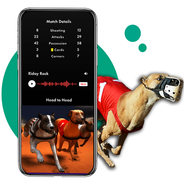 Greyhound Betting App Development