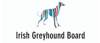 Irish Greyhound Derby- Ireland