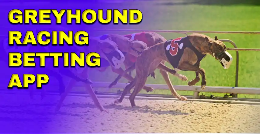 Greyhound Racing Betting Development
