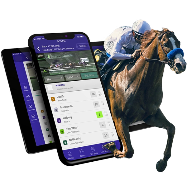 Horse Racing App Development Process